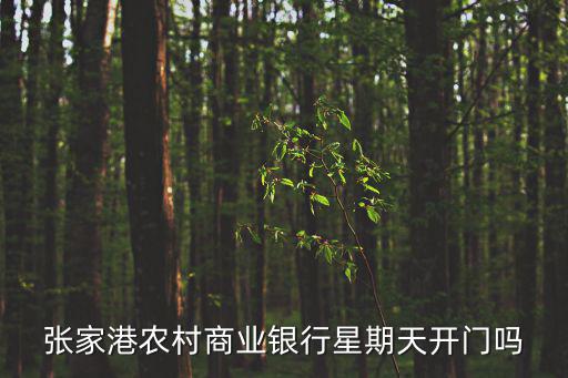 張家港農村商業銀行星期天開門嗎