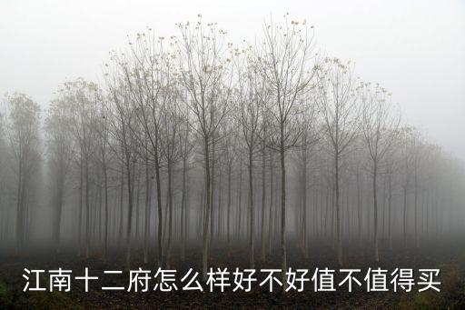 江南十二府怎么樣好不好值不值得買
