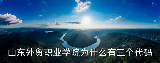 山東外貿職業學院為什么有三個代碼