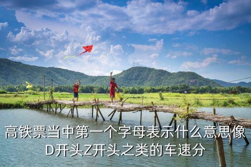 高鐵票當中第一個字母表示什么意思像D開頭Z開頭之類的車速分