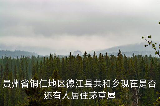 貴州省銅仁地區(qū)德江縣共和鄉(xiāng)現(xiàn)在是否還有人居住茅草屋