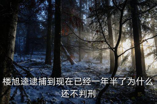 樓旭逵逮捕到現在已經一年半了為什么還不判刑