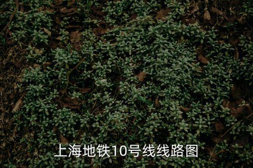 地鐵10號線線路圖，南京地鐵10號線線路圖