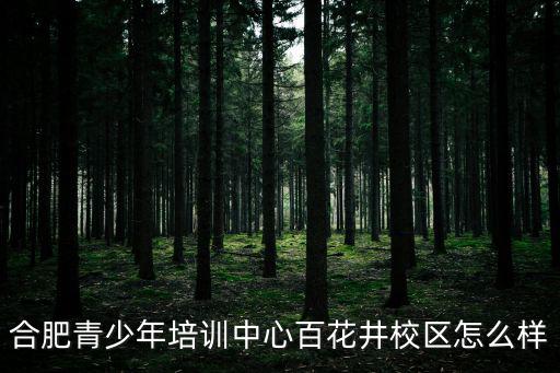 合肥青少年培訓中心百花井校區(qū)怎么樣