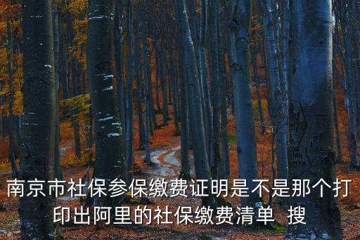 南京市社保參保繳費(fèi)證明是不是那個(gè)打印出阿里的社保繳費(fèi)清單  搜
