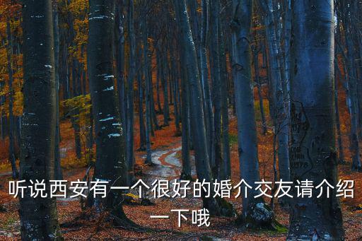 西安交友，西安有沒有專業的同城交友的地方