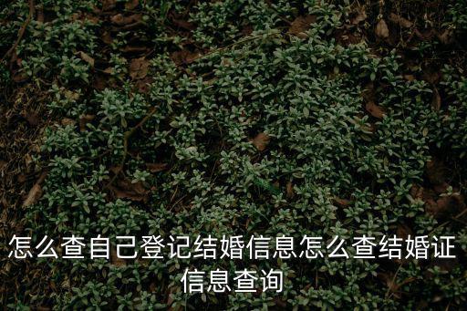 登記信息，工商登記的信息主要包含哪些內(nèi)容