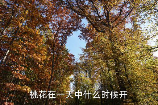 桃花在一天中什么時候開