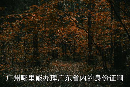 廣州哪里能辦理廣東省內的身份證啊