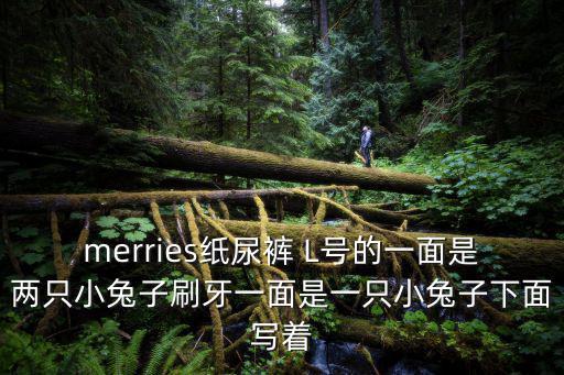 merries，merries紙尿褲 L號的一面是兩只小兔子刷牙一面是一只小兔子下面寫著