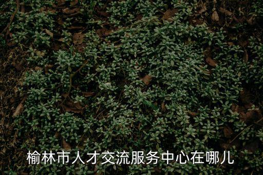 榆林市人才交流服務中心在哪兒