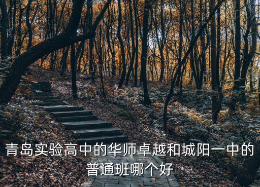 青島實驗高中的華師卓越和城陽一中的普通班哪個好