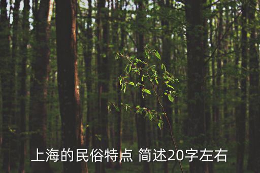 上海的民俗特點 簡述20字左右