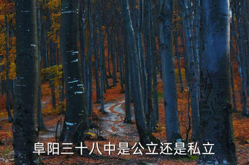 阜陽三十八中是公立還是私立
