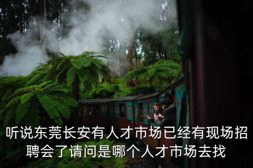 聽說東莞長安有人才市場已經(jīng)有現(xiàn)場招聘會了請問是哪個人才市場去找