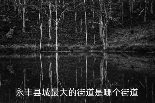 永豐縣城最大的街道是哪個街道