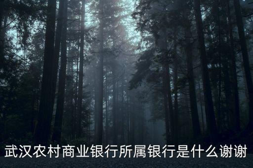 武漢農村商業銀行所屬銀行是什么謝謝