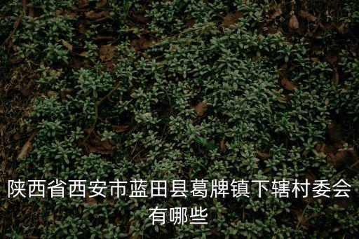 陜西省西安市藍田縣葛牌鎮下轄村委會有哪些