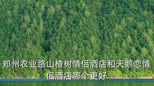 鄭州農業路山楂樹情侶酒店和天鵝戀情侶酒店哪個更好