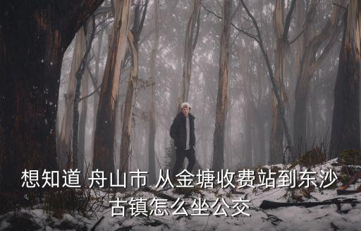 東沙古鎮(zhèn)，想知道 舟山市 從金塘收費站到東沙古鎮(zhèn)怎么坐公交