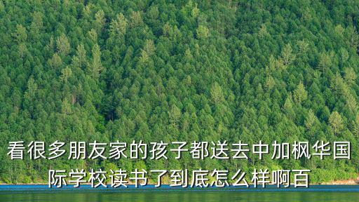 中加楓華國際學校，中加楓華國際學校怎么樣有個親戚想要去蘇州找一所國際學校