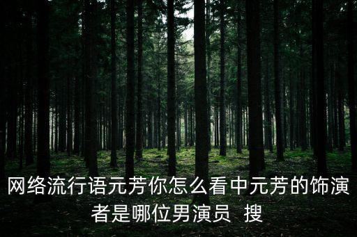 網絡流行語元芳你怎么看中元芳的飾演者是哪位男演員  搜
