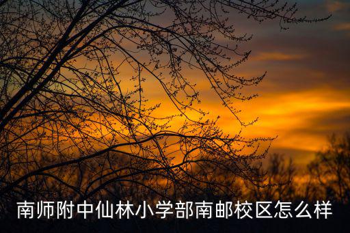 南師附中仙林學校，南師附中仙林小學部南郵校區怎么樣