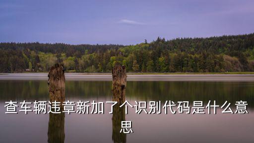 查車輛違章新加了個識別代碼是什么意思