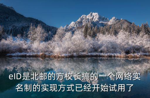 eID是北郵的方校長搞的一個網絡實名制的實現方式已經開始試用了