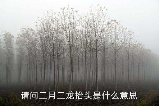 請問二月二龍?zhí)ь^是什么意思