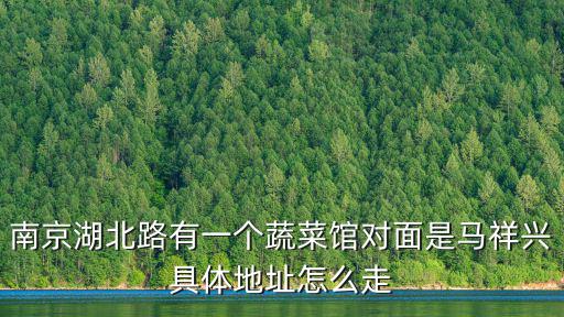 南京湖北路有一個(gè)蔬菜館對(duì)面是馬祥興具體地址怎么走