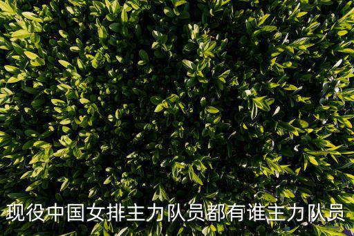 女排成員，參加里約奧運女排十二人名單