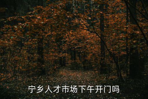 寧鄉人才市場下午開門嗎