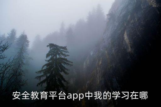 安全教育平臺app中我的學習在哪