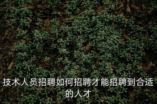 技術人員招聘如何招聘才能招聘到合適的人才