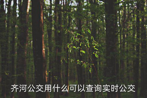 齊河公交用什么可以查詢實時公交