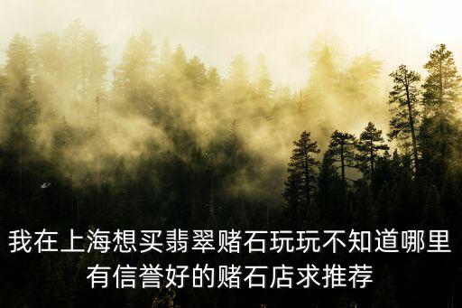 我在上海想買翡翠賭石玩玩不知道哪里有信譽(yù)好的賭石店求推薦