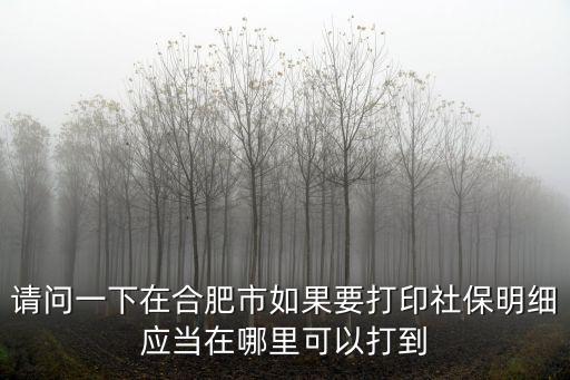 請問一下在合肥市如果要打印社保明細應當在哪里可以打到