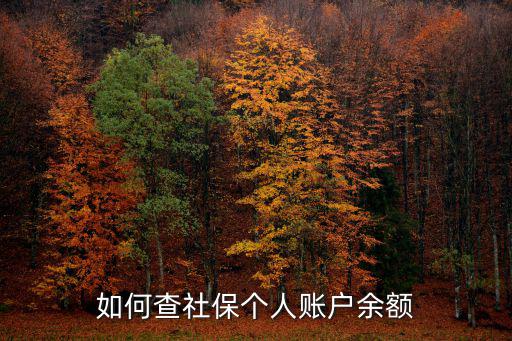 社保個人帳戶查詢，怎么查社保個人賬戶余額查詢