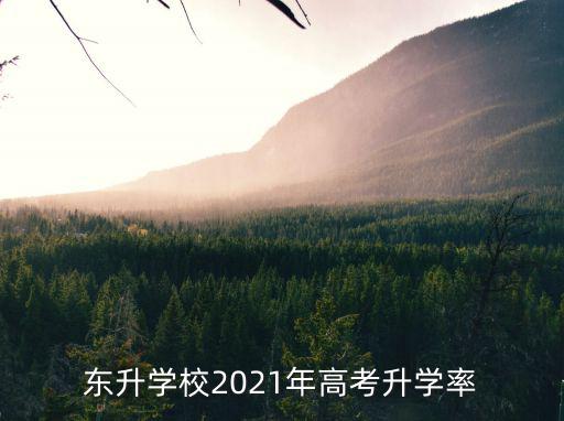 東升學(xué)校2021年高考升學(xué)率