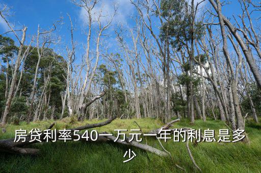 房貸利率540一萬元一年的利息是多少