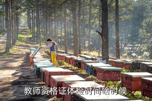 教師資格證體檢時間啥時候
