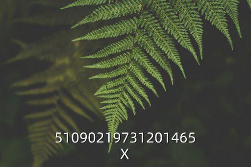 510902，51090219731201465X