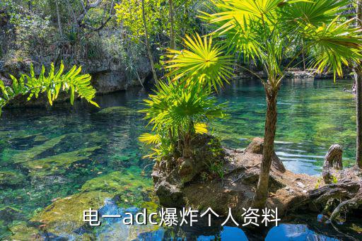 電一adc爆炸個人資料