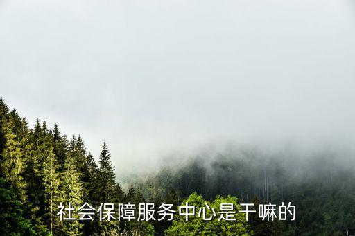 社會保障服務中心是干嘛的