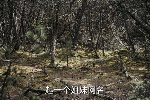 起一個姐妹網名