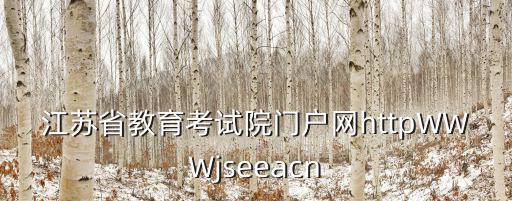 江蘇省教育考試院門戶網httpWWWjseeacn