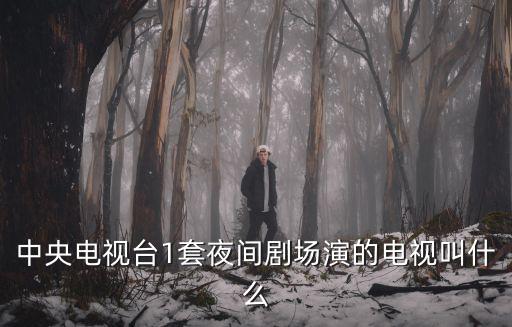 夜間劇場，中央電視臺1套夜間劇場演的電視叫什么