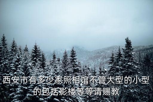 西安市有多少家照相館不管大型的小型的包括影樓等等請賜教