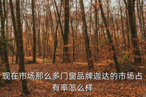現在市場那么多門窗品牌迦達的市場占有率怎么樣